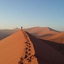 Neel Gattrup Williams