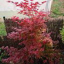 Rosa Maria Santamaria Careta