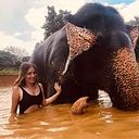 Dome Martinez Muñoz