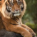 Vanesa Farías Ríos