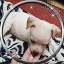 Carmen Carbonell Berni