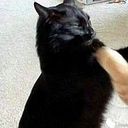 Maximiliano Osorio Lazo