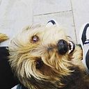 Laura Afonso Sánchez