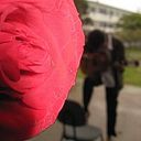 Thierry Mickael Motta