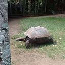 Sarah-Jane Hollingsworth