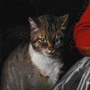 meow_art