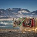 Kamil Klaudjusz Filipsek