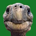 Christopher Blackall