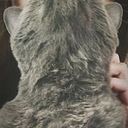 Alexandra Gerdzhikova