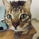 Mar Jorge De la Rosa