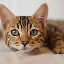 Jack William jackwilliam1