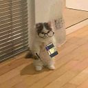 Danna Sophia Velez Salgado