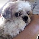 Sandra Romero Morales