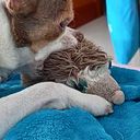 Mari Te Mederos Rivero