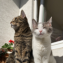 Mourinho & Silverina