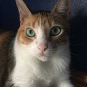 Giovana Gisela Gooding Sánchez