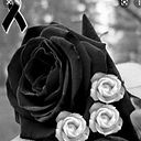 Liesel Anja Schambaher Triska