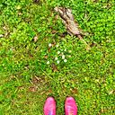 Ana Dos Cabelos DENtro DA FLOREsta