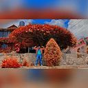 Néstor Gabriel Paniagua Medina