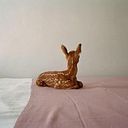 elis_provenghi
