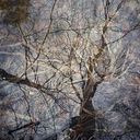 Adriana Pohl-Gasidło