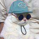 Fernando Orozco Zubeldía