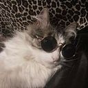 Elizabeth Rodríguez