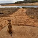 Fábio de Castro Patrício