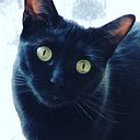 Catherine Westerberg