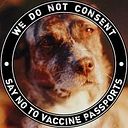 Mariana Dias da Cunha