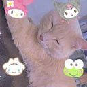 Ximena Flores Robles