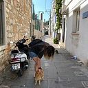 Настасья Трофимова