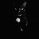 Pusanisa Phaengprasit