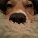 Marialy Carvajal López