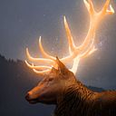 Roberto Arriaza Puluc