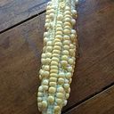 Sebastián Lampasone