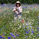 Francoise ANNE BRAUN