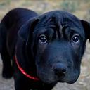 Zuleyca Aguilar Rmelin