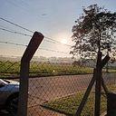 sandra_magro