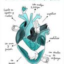 María Arias García