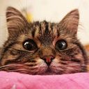 Tatyana Finkilshtein