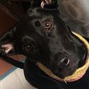 Leonor Demetri Matus