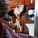 Erika Vizcaíno Perlaza