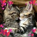 Angel Velazquez Giles