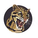 Cassandra Lightfritz