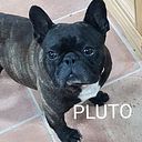 Marina Sanchez Blanco