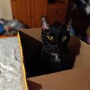 Janitzio Egido Villarreal