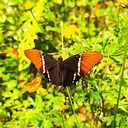 Juliana Durán Jimenez