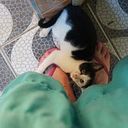 Christiana Braconnot