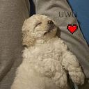 nataliamargaritadeoliveira